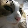 haniatheexpl0rer