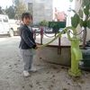 aavyan.mihir.chhe
