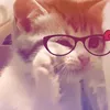 _phyb