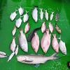 aie.mancing