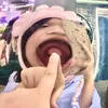 becuukocanh