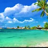 quynh.anh595