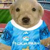 jairzinho.sc