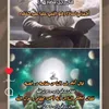 mohammed94468