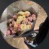 lo_4775