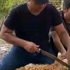 shahrul4224