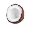 coconut.summer023