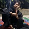 zaaa_sfl