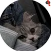 hawra1983