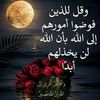 user971662081181