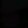 efa_alnore