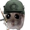 meymaymoooy