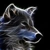 wolf4124