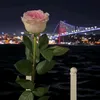 feroza_10
