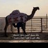 user9694047116607