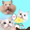 taokocolinktiktok