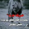 user2875753174902