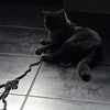ocane0712