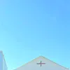lesongnhu11