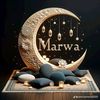 marwaelsayed980