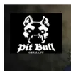pit bull