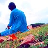 toqueershani211