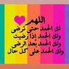 user8665746251527