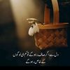 mruzair438