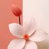 user116900025857