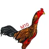 m10.tb
