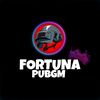 fortunapm_1k