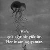 vefa8134