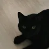 никита