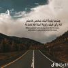 marwan_elwarfly
