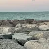 wesam.alfayez