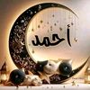 hamza.bakkay