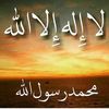 user8427986102444