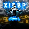 xi3bp