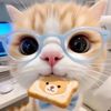 kucing_normal0