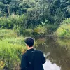 phulocnguyen12