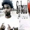 hoopssean494