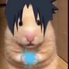 .lfgtjgf