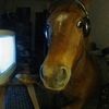 williame_tr
