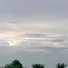 luy55560