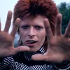 ziggystardust._08