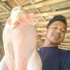 tepos123456