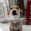 bulonem_1123