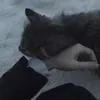 strwberrycatss