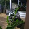 rafazen44