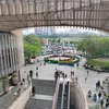 daomeixiong6